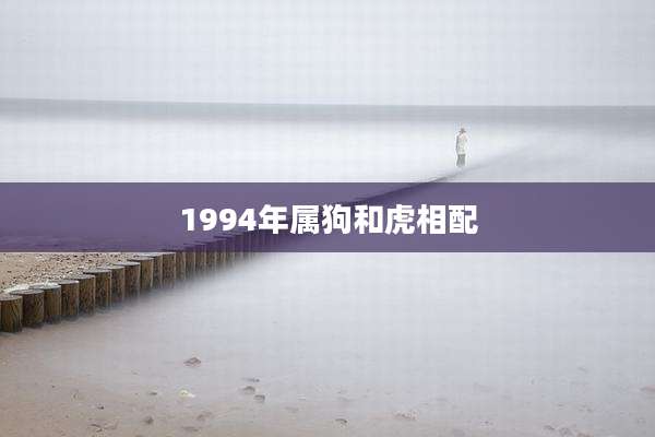 1994年属狗和虎相配