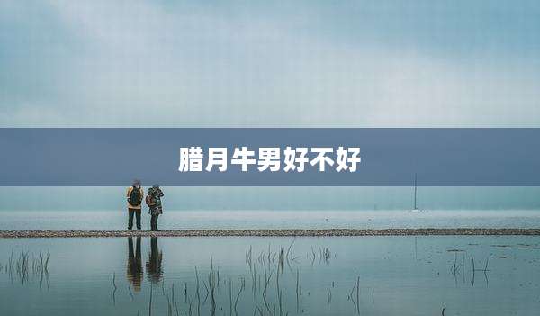 腊月牛男好不好