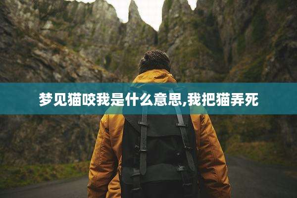 梦见猫咬我是什么意思,我把猫弄死