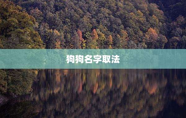 狗狗名字取法