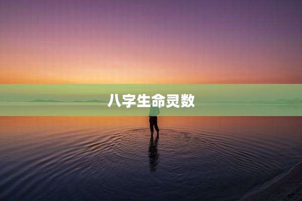 八字生命灵数