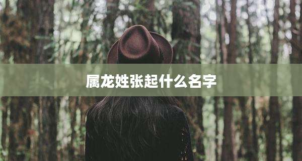 属龙姓张起什么名字