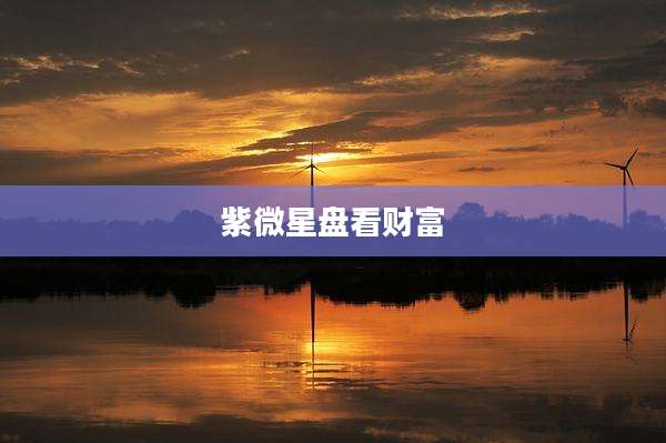 紫微星盘看财富