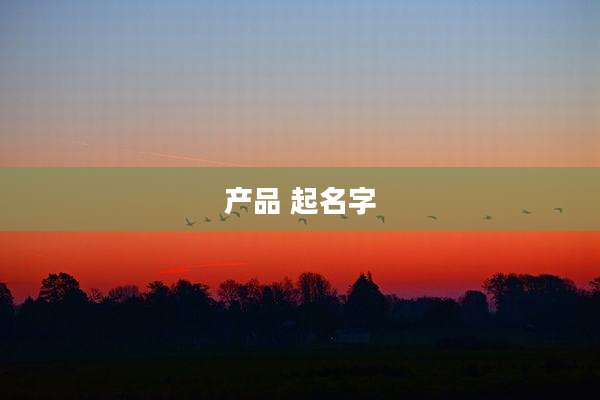 产品 起名字