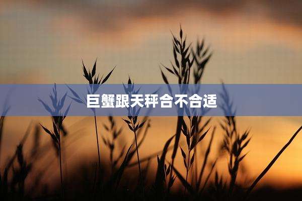 巨蟹跟天秤合不合适
