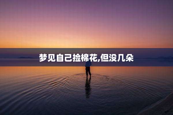 梦见自己捡棉花,但没几朵