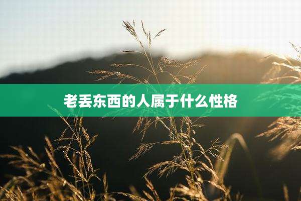 老丢东西的人属于什么性格