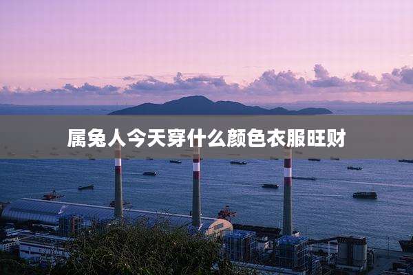 属兔人今天穿什么颜色衣服旺财