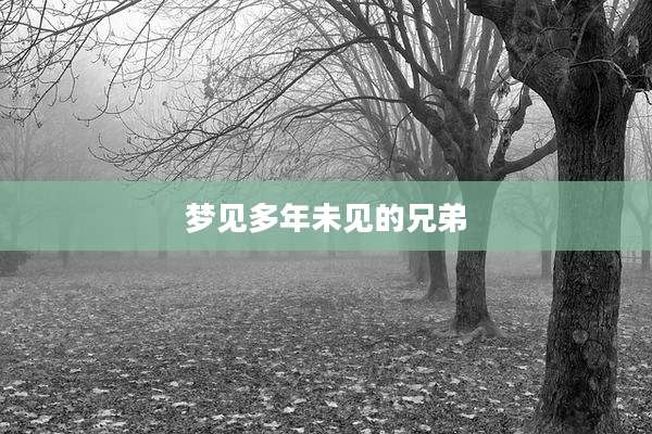 梦见多年未见的兄弟