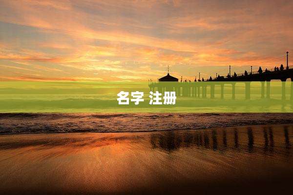 名字 注册