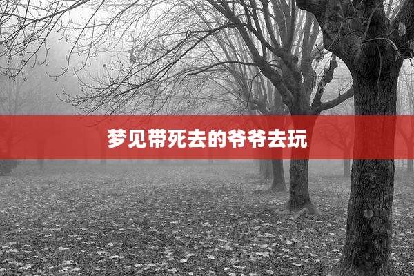 梦见带死去的爷爷去玩