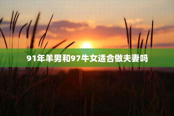 91年羊男和97牛女适合做夫妻吗