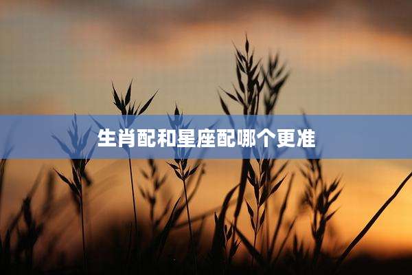 生肖配和星座配哪个更准