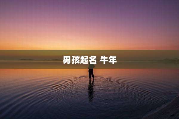 男孩起名 牛年