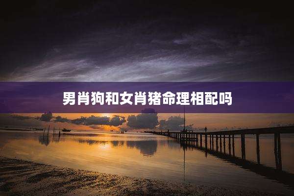 男肖狗和女肖猪命理相配吗