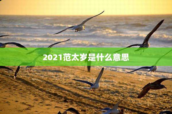 2021范太岁是什么意思