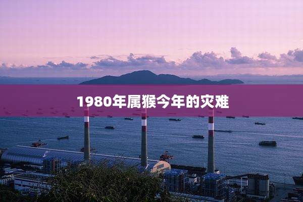 1980年属猴今年的灾难
