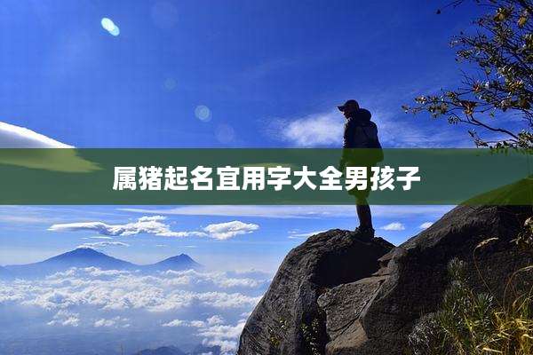 属猪起名宜用字大全男孩子