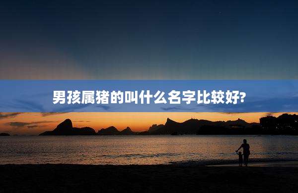 男孩属猪的叫什么名字比较好?