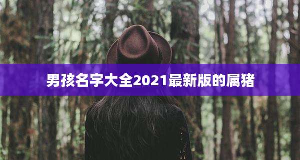男孩名字大全2021最新版的属猪