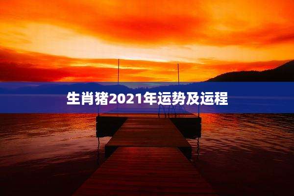 生肖猪2021年运势及运程