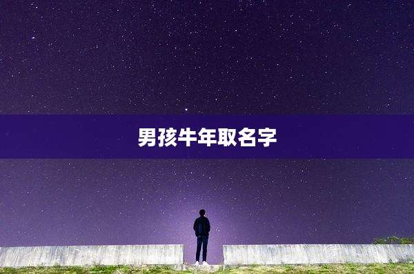 男孩牛年取名字