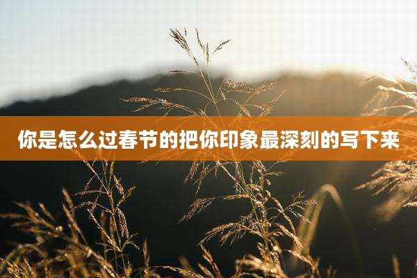 你是怎么过春节的把你印象最深刻的写下来