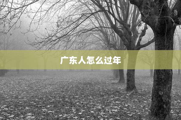 广东人怎么过年