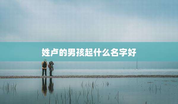 姓卢的男孩起什么名字好