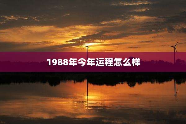 1988年今年运程怎么样
