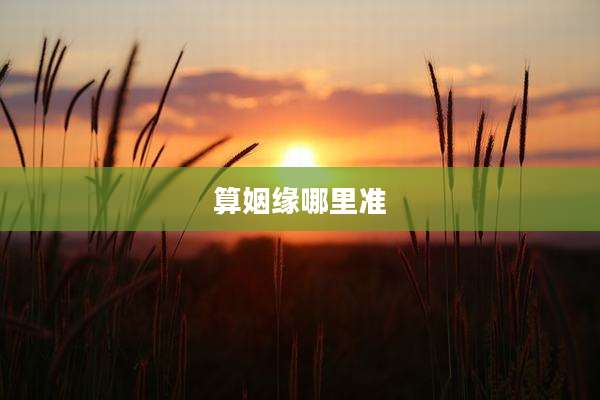 算姻缘哪里准