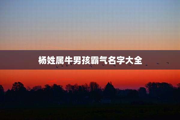 杨姓属牛男孩霸气名字大全