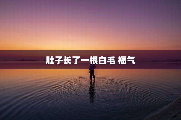 肚子长了一根白毛 福气
