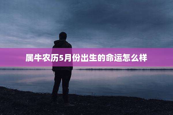 属牛农历5月份出生的命运怎么样