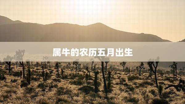 属牛的农历五月出生