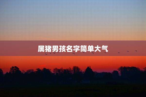 属猪男孩名字简单大气