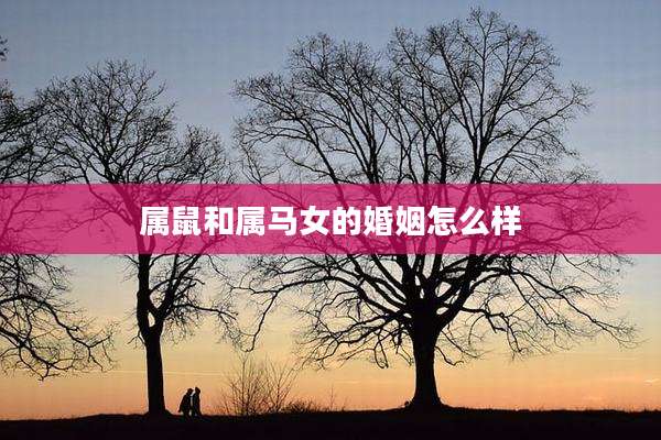 属鼠和属马女的婚姻怎么样