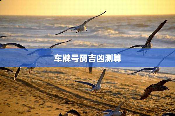 车牌号码吉凶测算