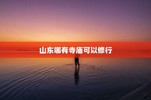 山东哪有寺庙可以修行