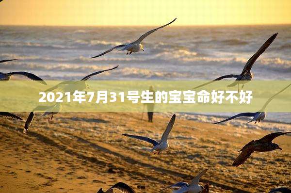2021年7月31号生的宝宝命好不好