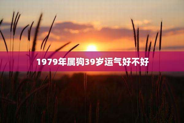 1979年属狗39岁运气好不好