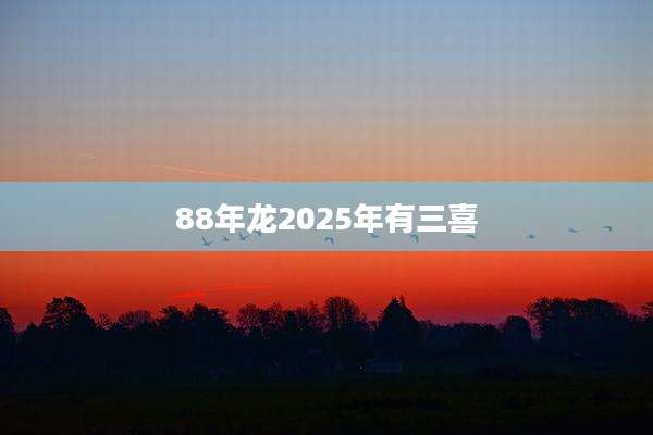 88年龙2025年有三喜