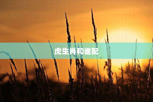 虎生肖和谁配