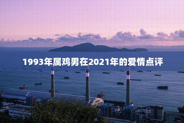 1993年属鸡男在2021年的爱情点评