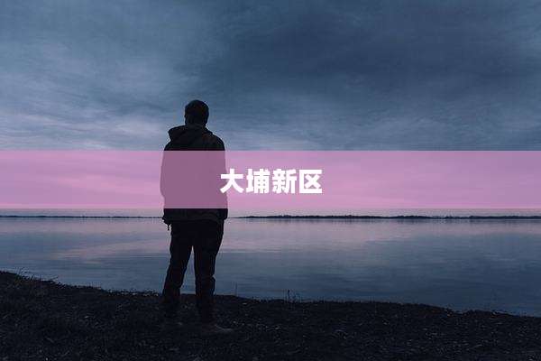 大埔新区