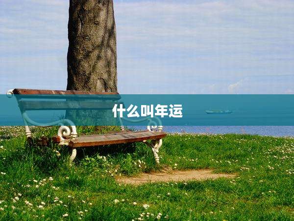什么叫年运