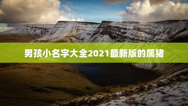 男孩小名字大全2021最新版的属猪