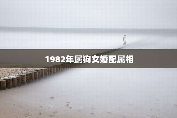 1982年属狗女婚配属相