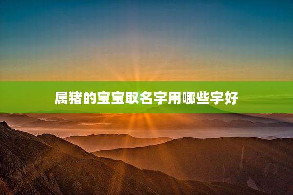 属猪的宝宝取名字用哪些字好