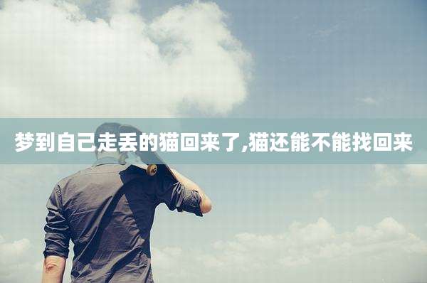 梦到自己走丢的猫回来了,猫还能不能找回来